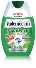 Vademecum 2v1 Polar Mint 75ml 
