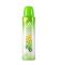 ADIDAS floral dream dámský deodorant 150 ml 